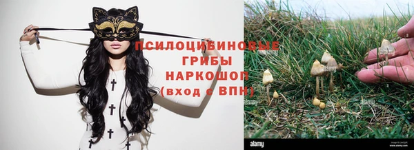 a pvp Кинешма